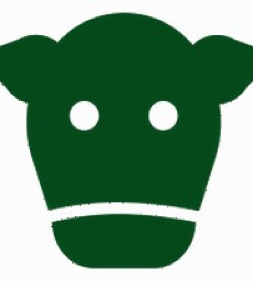 Le veau