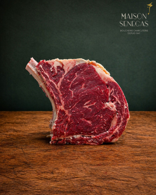 COTE SIMMENTAL DE BAVIERE PURE RACE