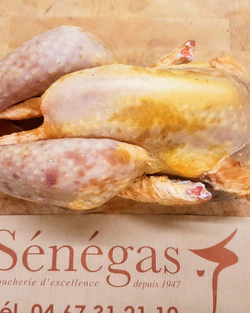 pintade-boucherie-maison-senegas-1